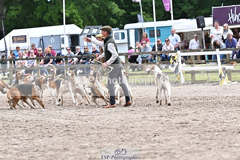 250524A-152308-12705 - East Devon Hounds