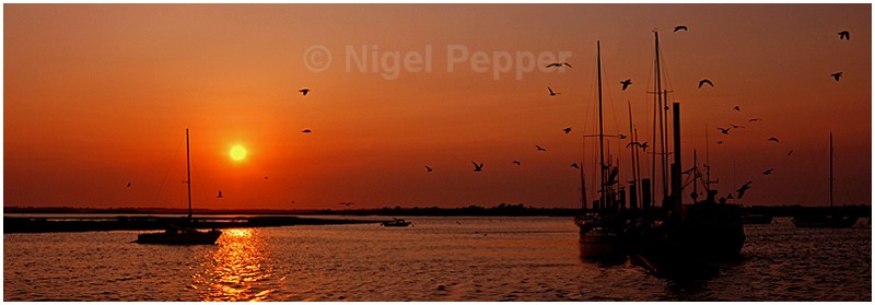 Marina Sunset - Titchmarsh Marina