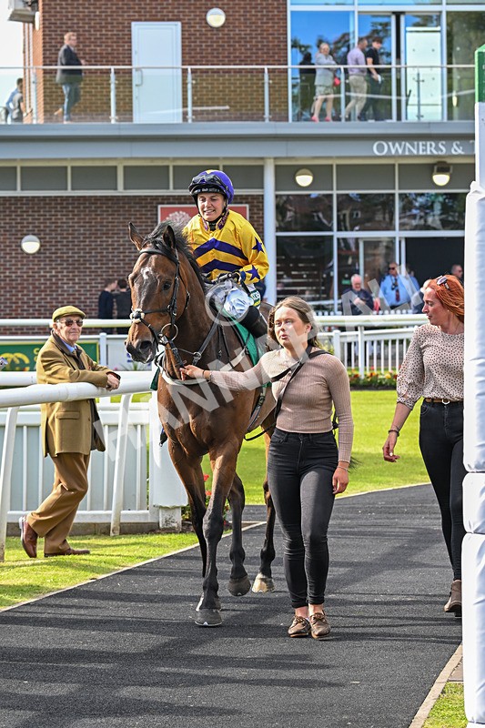 160624-Race 5-American Affair-9004 - Race 5