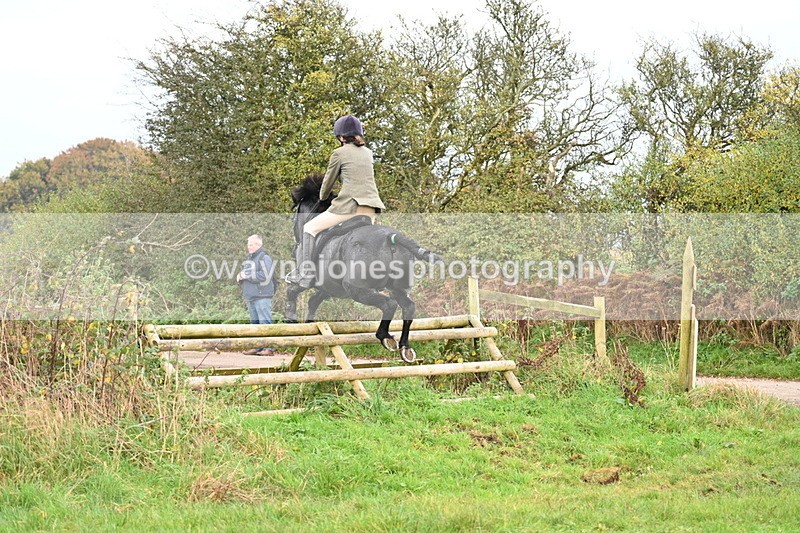 WJ7_0375 - Camera 1 & Last fence