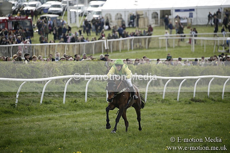 PtP 170417 351 - Old Berks Point-to-Point Lockinge 17/04/17