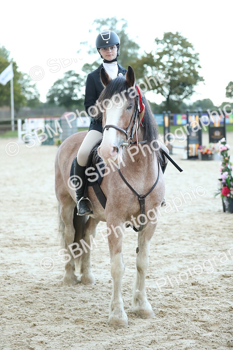 SBM_53777 - Supreme Championship 65cm 70cm