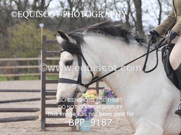 BPP_9187 - 50CM