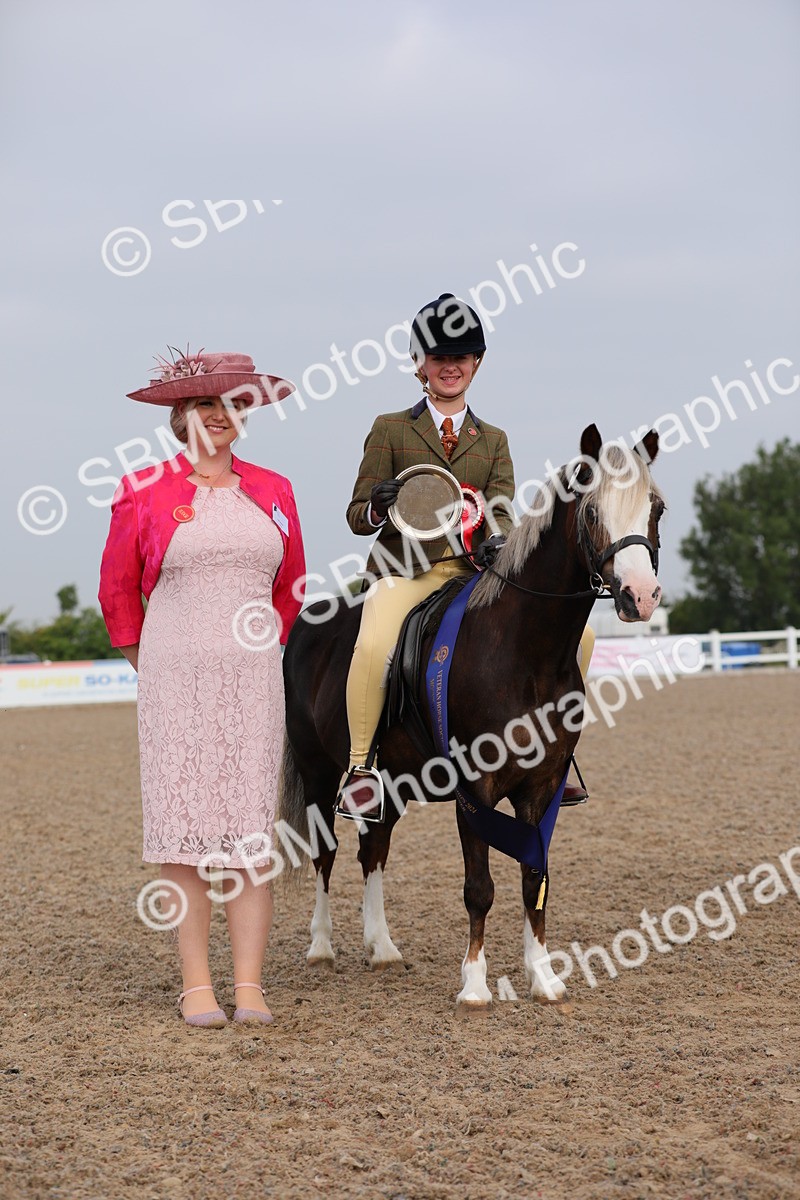 SBM_09678 - Class 301 Ridden M&M -Small Breeds