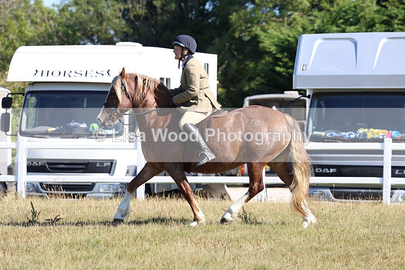 3E7A5440 - Class 3: Working Hunter 70cm