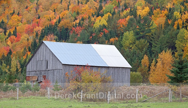 Country Barn in Autumn New Brunswick Canada - Old Barns & Buildings