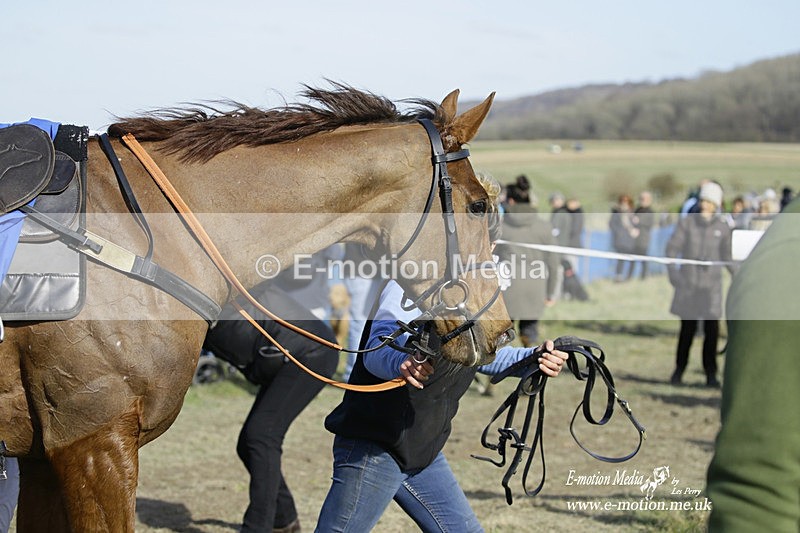 PtP 260222 403 - Kingston Blount Racing Club Point-to-Point 26/02/22
