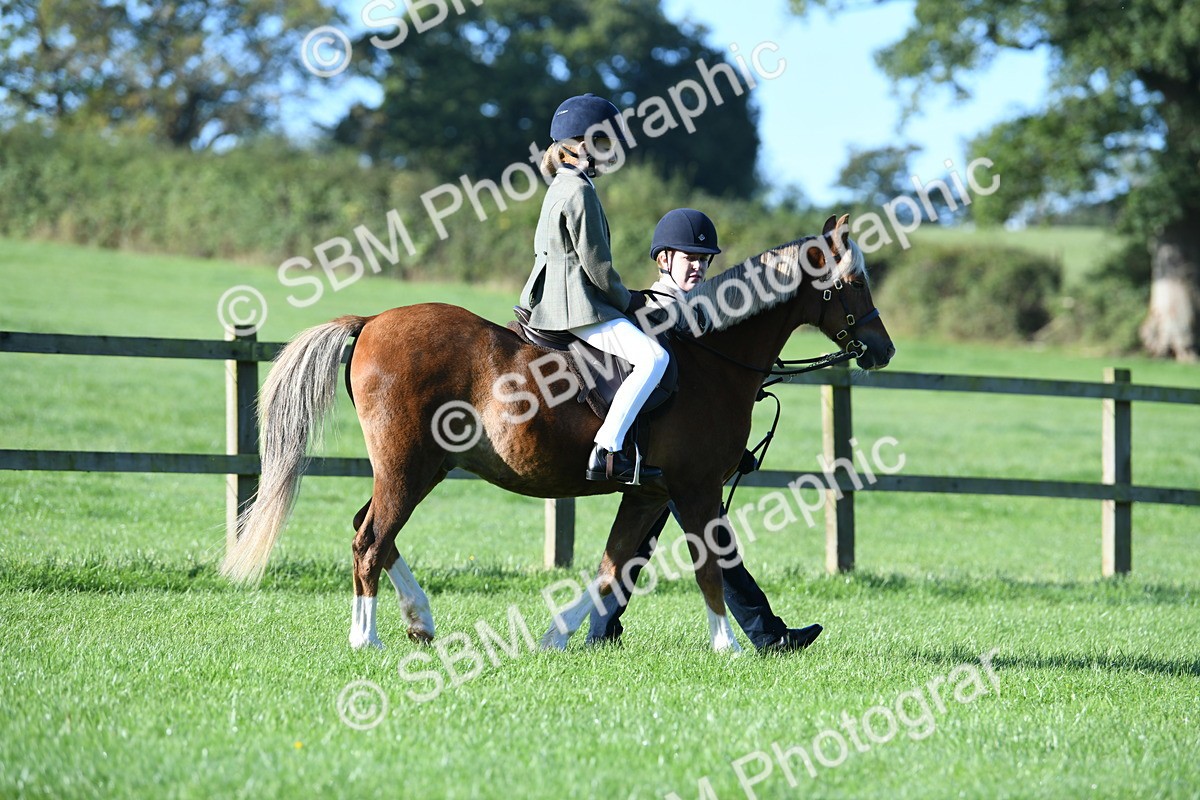 SBM_35291 - S17 - Condition & Turnout - Lead Rein