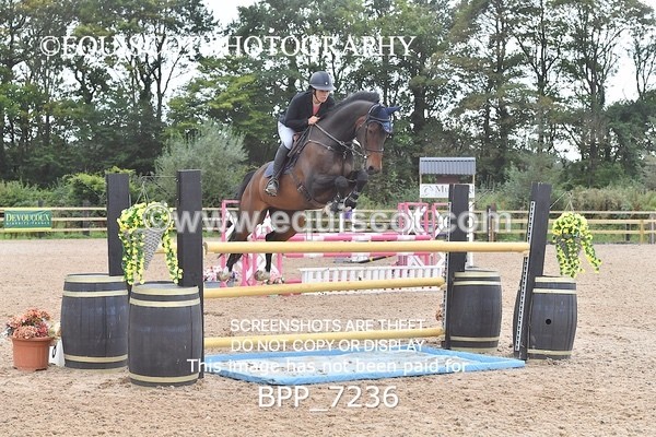 BPP_7236 - CLASS 5 Senior Foxhunter/ 1.20m Open