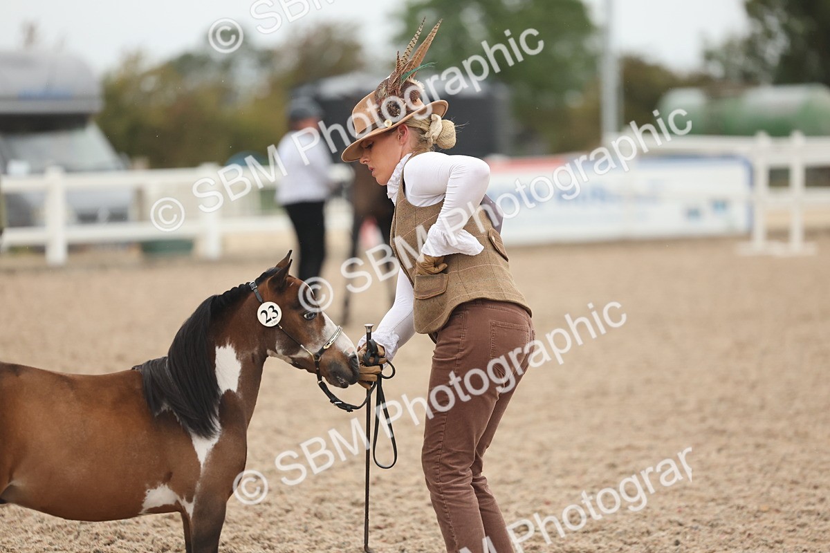 SBM_19369 - Class 317 - IH Pure Bred Horse-Pony