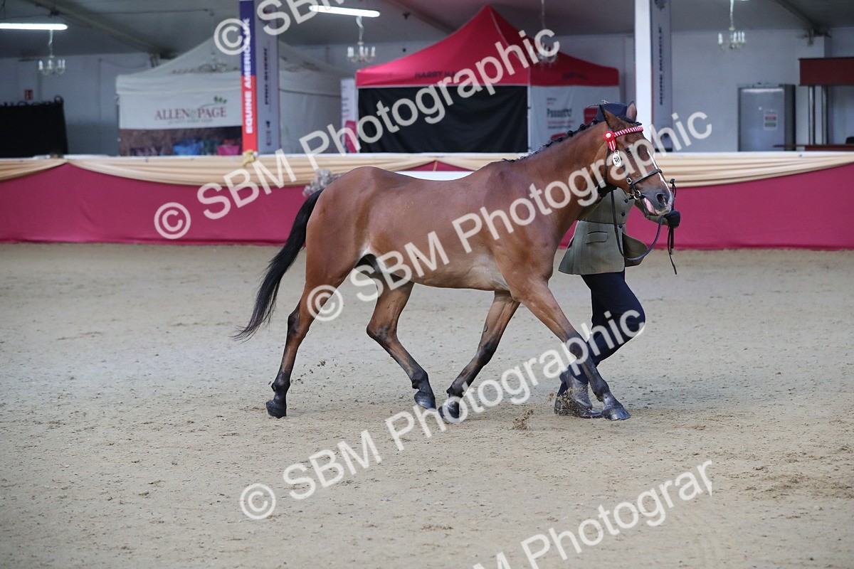 SBM_00271 - Class 1a - Area IH Diamond