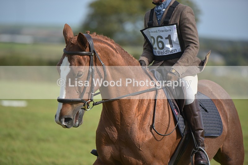 RAY_7879 - Class 2B: Trekenning Open: Dressage