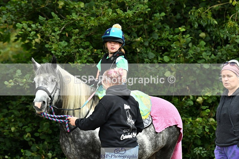 230804A-101208-01873 - Musical Ride