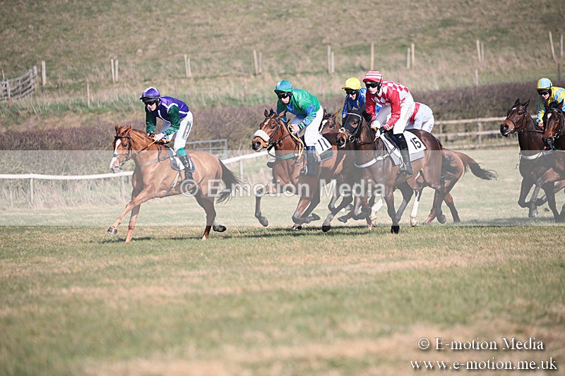 PtP 230219 216 - Vine & Craven Point-To-Point - Barbury 23/02/19