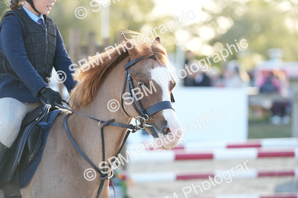SBM_54080 - Supreme Championship 60cm 65cm
