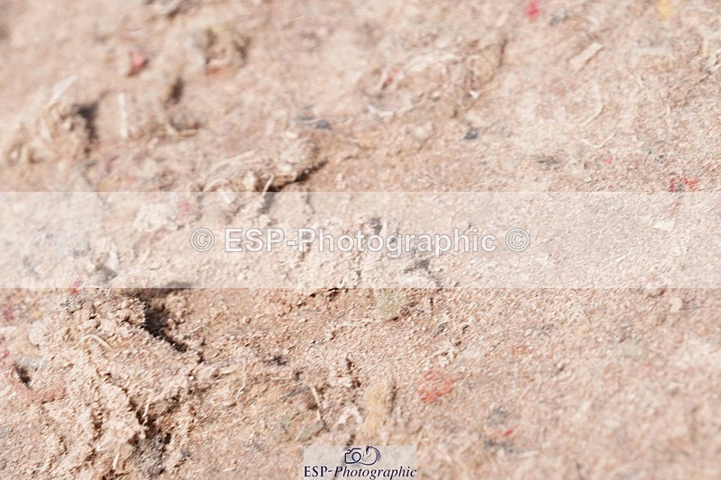 250510-125146-11334 - Cls 15 Prestige Big Star Quali  2nd Jump Off