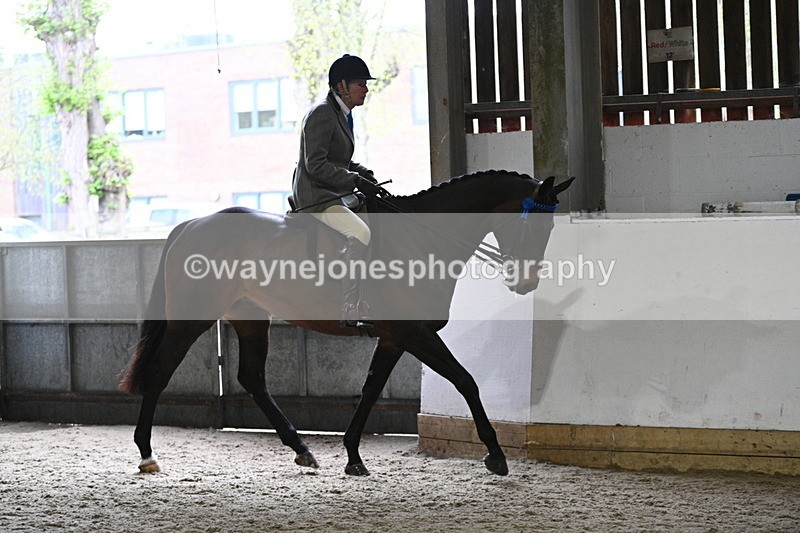 WJ7_3796 - Class 17 Ridden Cob