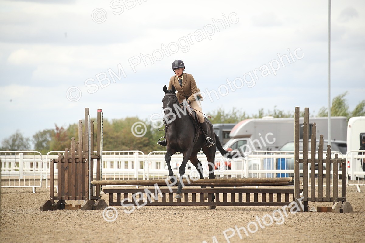 SBM_16765 - Class 507b - Working Veteran 60cm (20+)