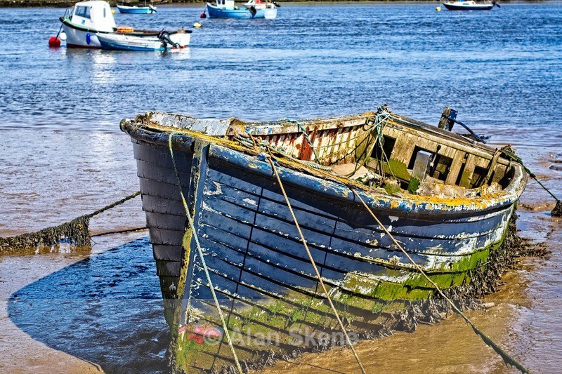 DSC05821 - Suffolk