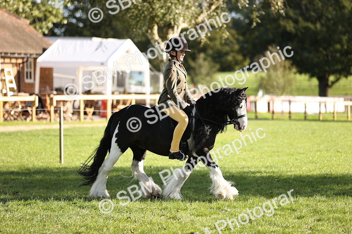 SBM_29306 - S7 - Novice & Newcomers Ridden Pony