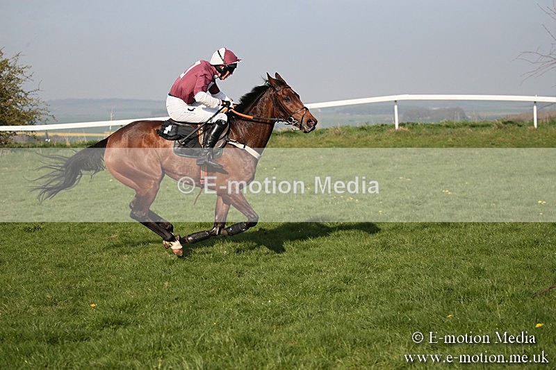 PtP 210418 646 - South & West Wilts Point-to-Point Larkhill 21/04/18
