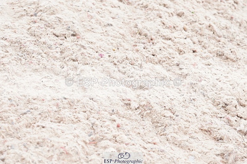 250414-142844-01146 - 1.10m Round 2