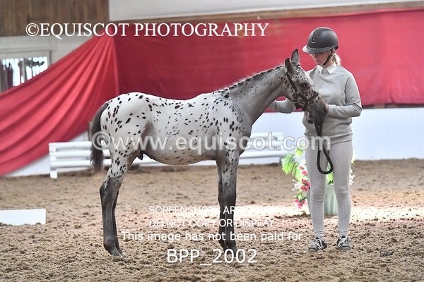 BPP_2002 - AFTERNOON 12.30 - 3.30PM