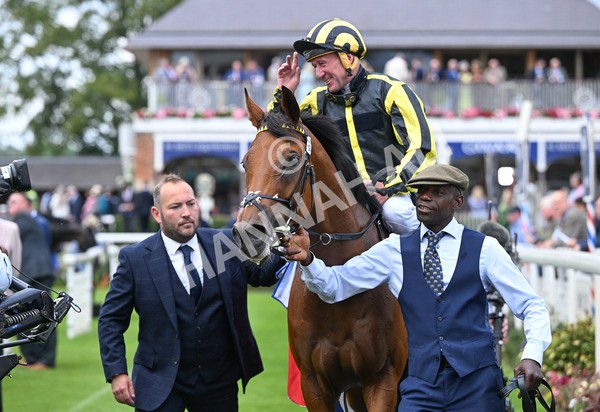 220825-025 Asgards Captain - Race 1 1.50pm Sky Bet Handicap