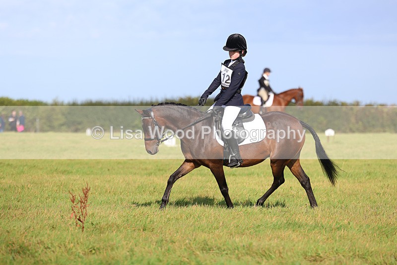3E7A5935 - Class 1: Trebudannon Open: Dressage (Part 2)