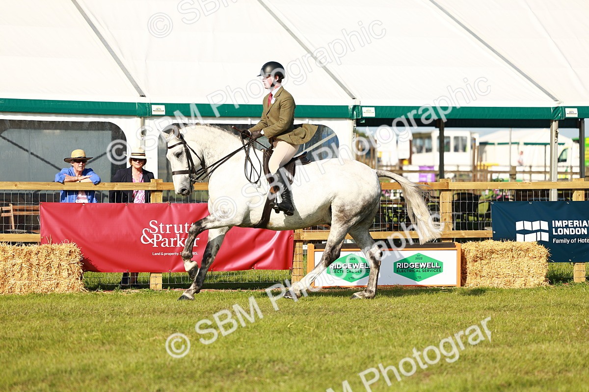 SBM_10806 - Class 66-69 - RIHS Ridden Hunters Inc Small Hunter
