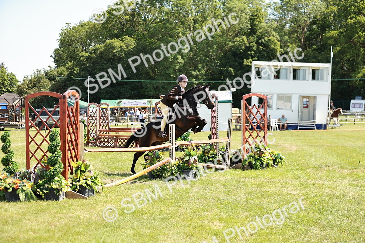SBM_17644 - Class 112-113 - BSPS LIHS Working Sports Pony