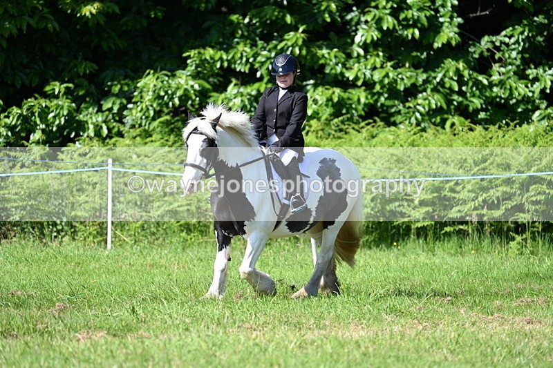 WJ7_0529 - Class 8 First Rally Pony