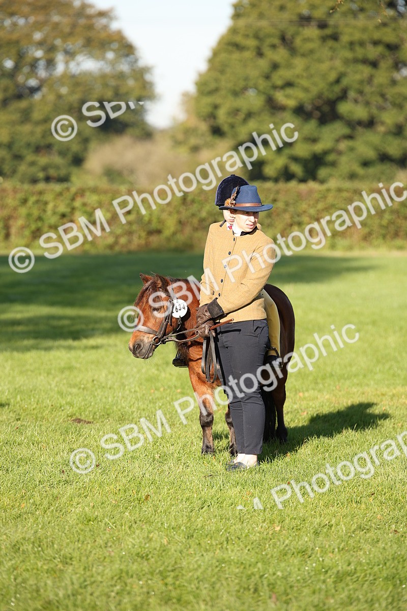 SBM_34234 - S9 - Lead Rein Equitation