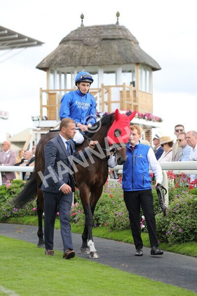 yr19082022r6-15 - Race 6 4.45 pm British Stallion Studs EBF Convivial Maiden Stakes