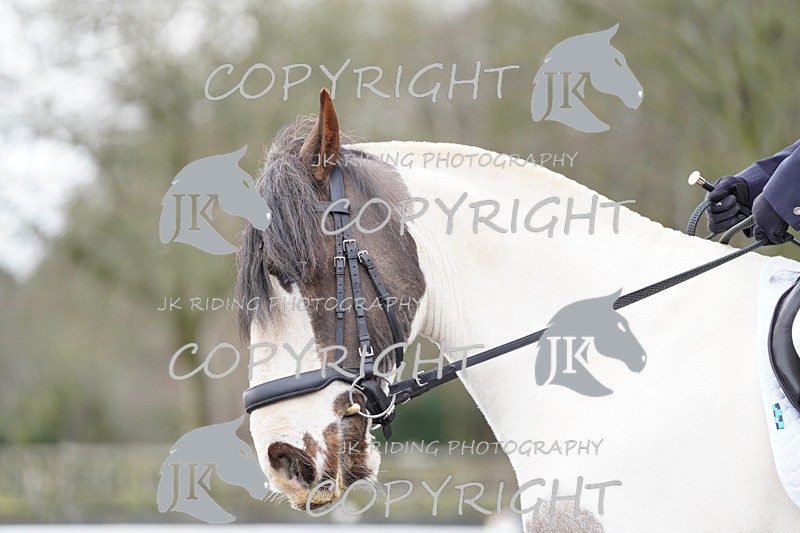 _DSC5199 - Novice 1