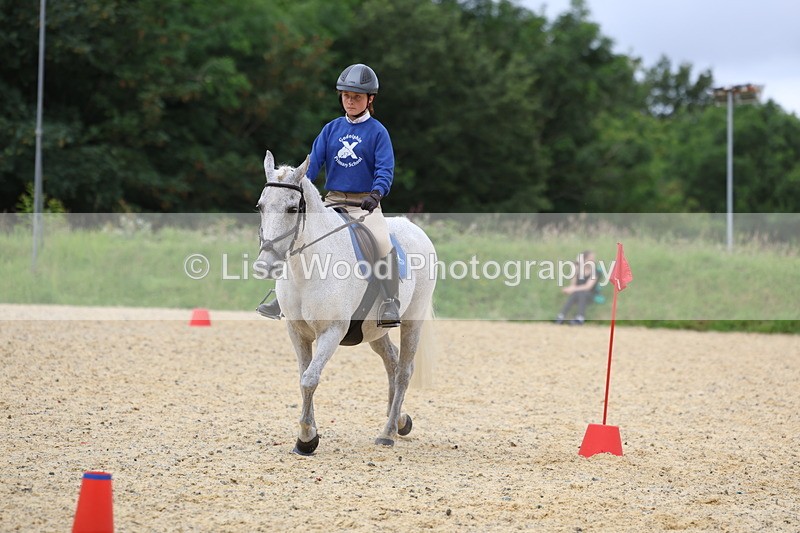 3E7A9577 - Walk trot run