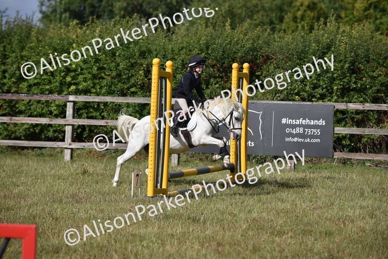 20250831-0426 - Class 7 - Absolute Novice 35cm