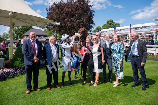 140625-Race 3-Al Qareem-9539 - Race 3 3.00pm Sky Bet Race To The Ebor Grand Cup Stakes