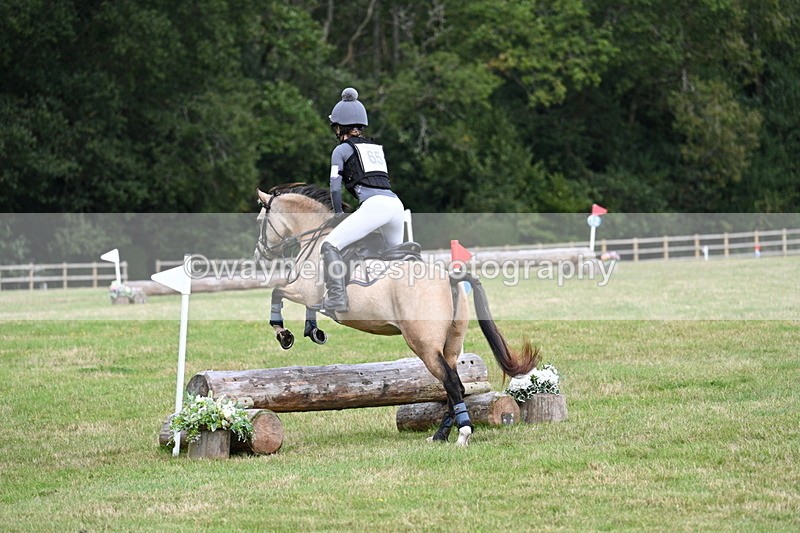 WJ7_8870 - 60cm Time 12:31 to 12:50