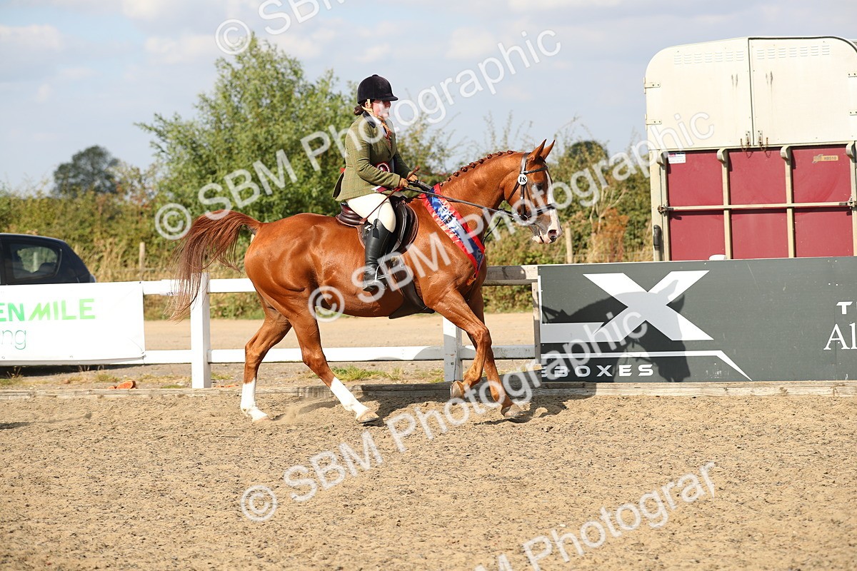 SBM_06935 - Class 49a Style & Performance 80cm (15-19)