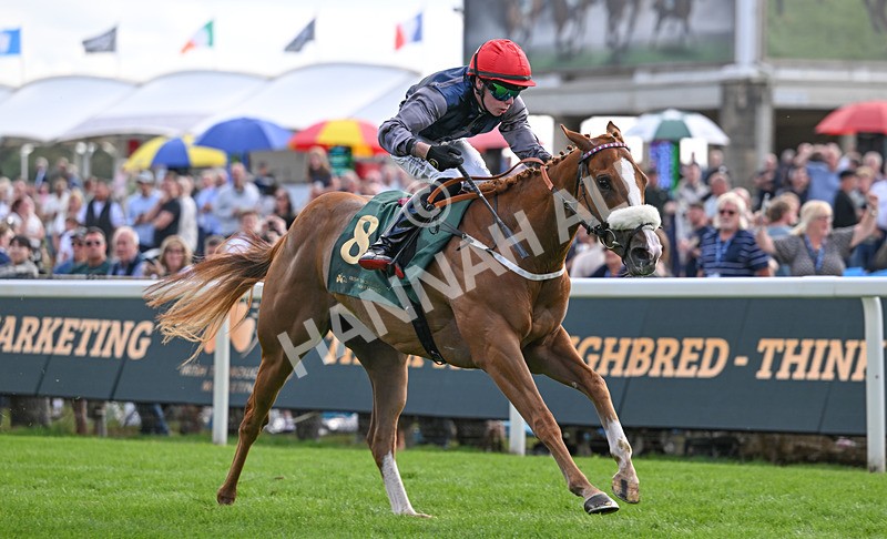 190826-223 Miss Yechance - Race 6 16.45pm Irish Thoroughbred Marketing Handicap