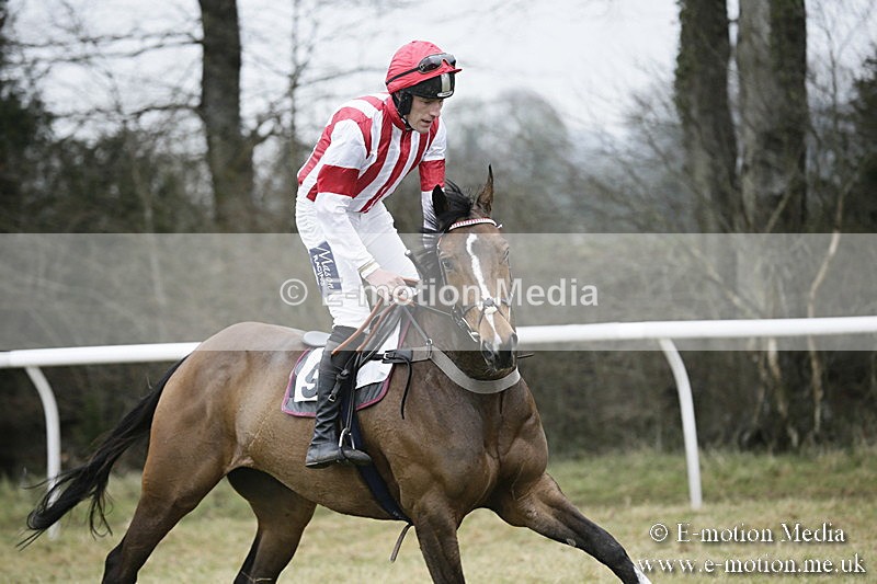 PtP 020418 -135 - Old Berks Point-to-Point Races Easter Monday 02/04/18