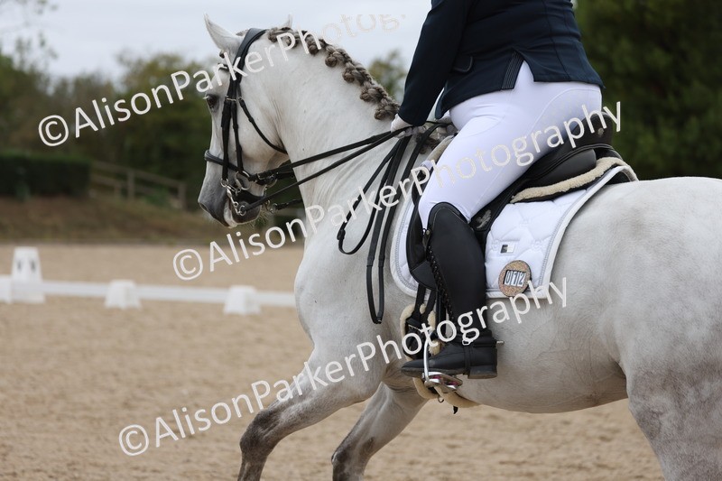 20250820-1066 - Class 17 - Elementary 4