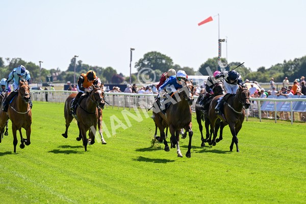 110725-Race 2-Sayidah Dariyan-0213 - Race 2 2.45pm William Hill Summer Stakes