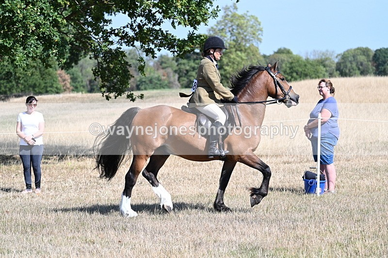 WJ7_3742 - Class 9 Mountain & Moorland Ridden
