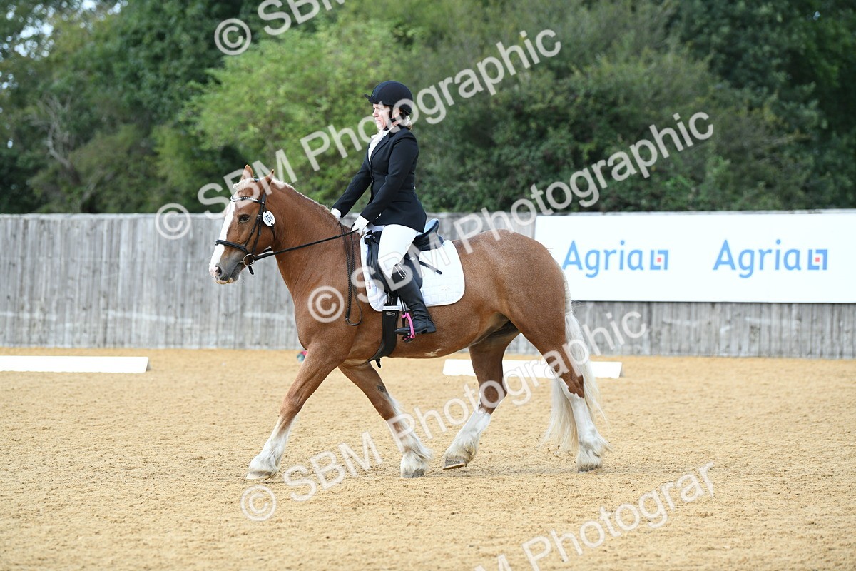 SBM_03103 - D7 Small Tour Championship Prelim 1