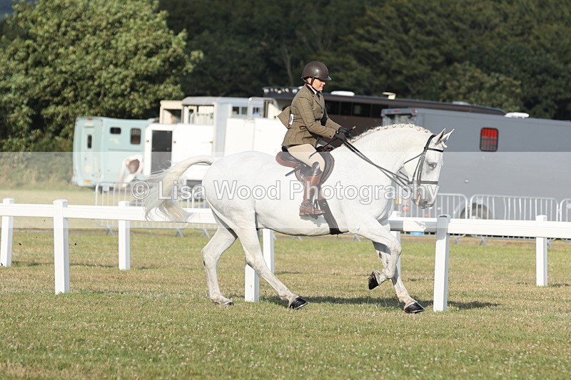 JPP_3521 - Class 22: Working Hunter 90cm