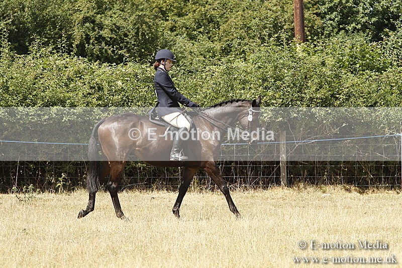 _BS_0707 - BVRC Show 2018 Ring 1