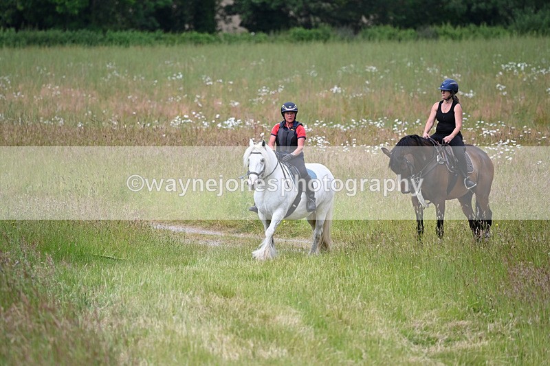 WJ6_8022 - Camera 1 Gallops