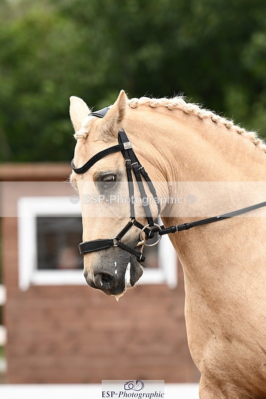 240815A-130541-01427 - 165-Louisa.Julie.Brend-Cynheidrefawr.gerwyn